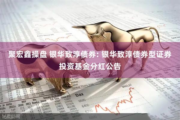 聚宏鑫操盘 银华致淳债券: 银华致淳债券型证券投资基金分红公告