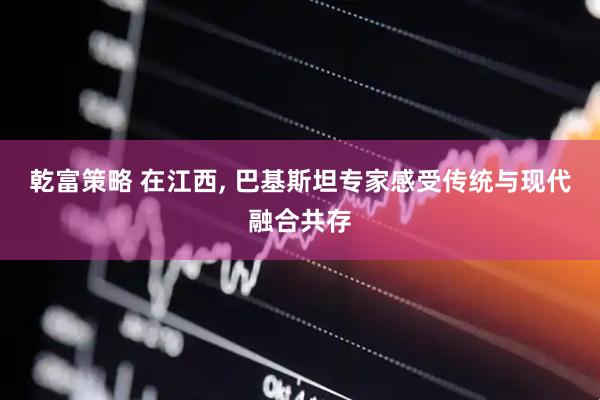乾富策略 在江西, 巴基斯坦专家感受传统与现代融合共存